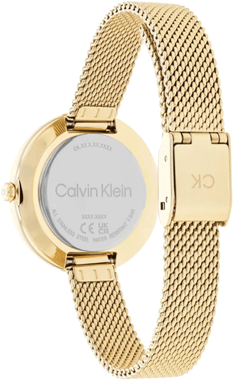 CALVIN KLEIN WRIST WATCH CK-25200186