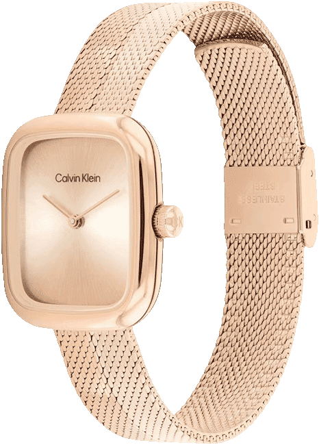 CALVIN KLEIN WRIST WATCH CK-25100101