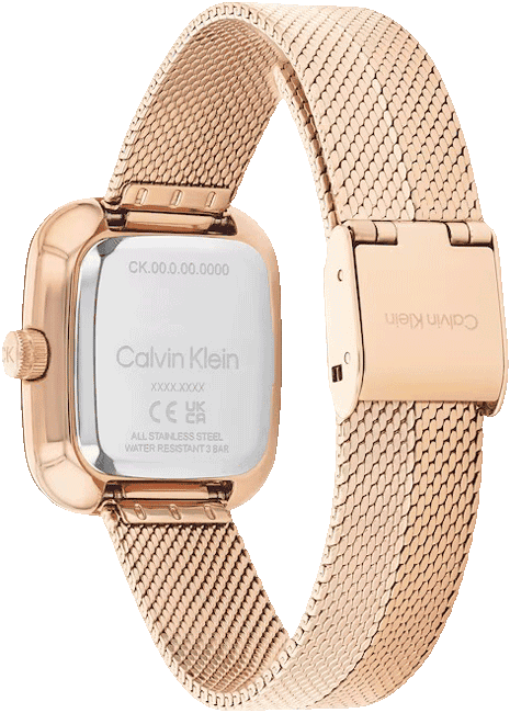 CALVIN KLEIN WRIST WATCH CK-25100101