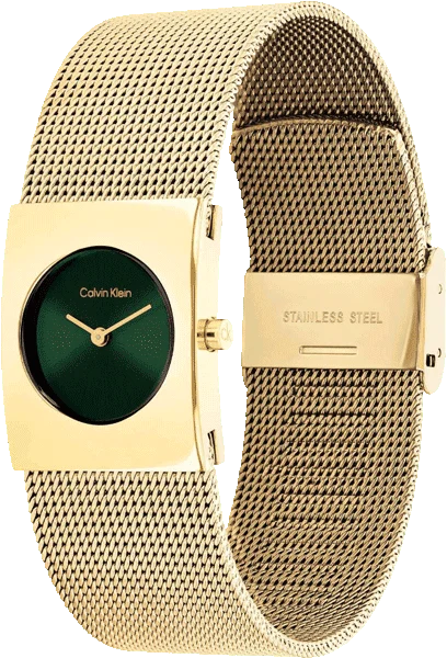 CALVIN KLEIN WRIST WATCH CK-25100136
