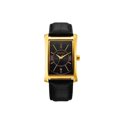 TITAN Analog Wrist Watch – Model 10046YL01