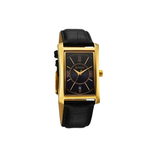 TITAN Analog Wrist Watch – Model 10046YL01
