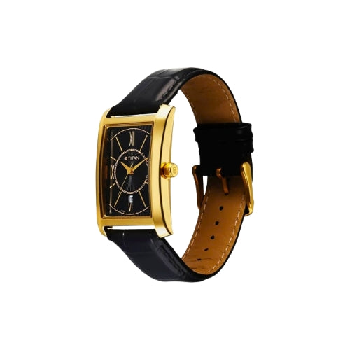 TITAN Analog Wrist Watch – Model 10046YL01