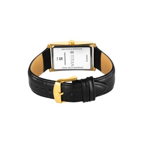 TITAN Analog Wrist Watch – Model 10046YL01