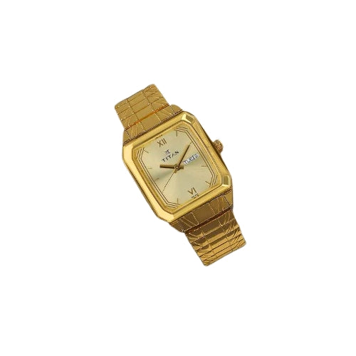 TITAN Analog Wrist Watch – Model 1581YM05