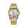 TITAN Analog Wrist Watch – Model 10060BM01
