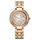TITAN Analog Wrist Watch – Model 95187WM02