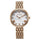 TITAN Analog Wrist Watch – Model 95243WM01