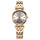 TITAN Analog Wrist Watch – Model 95321WM01