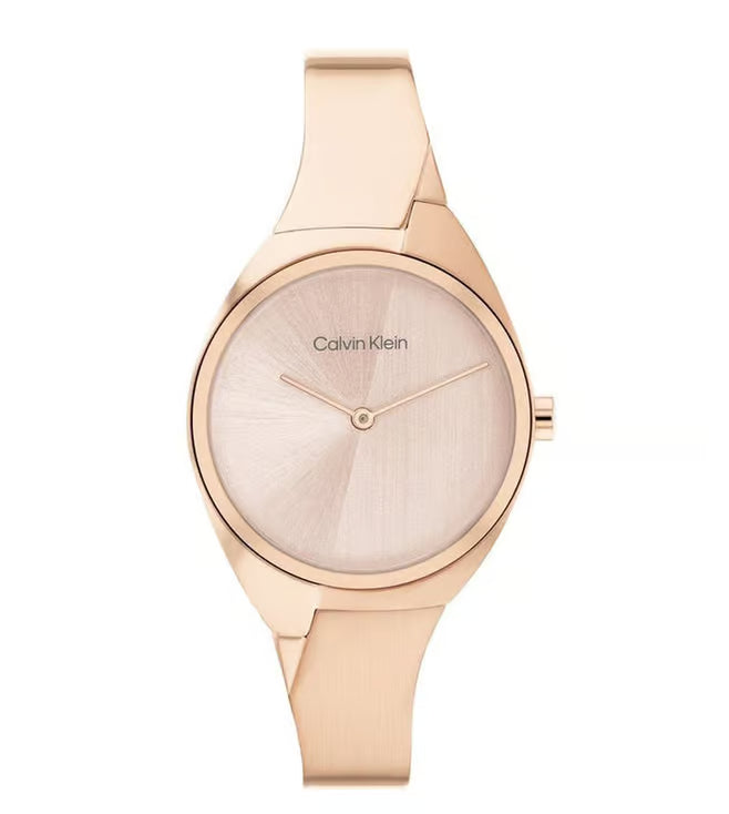 CK WRIST WATCH CK-25200236