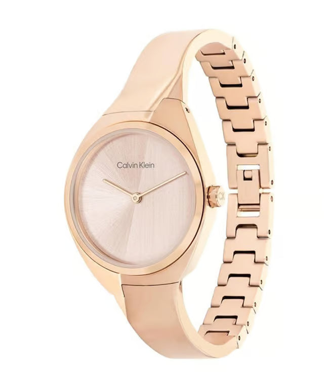 CK WRIST WATCH CK-25200236