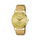 TIMEX Analog Wrist Watch – Model TI000R421