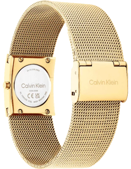 CALVIN KLEIN WRIST WATCH CK-25100136