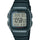 CASIO Wrist Watch – Model D054
