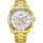 CITIZEN Wrist Watch – Model AN8232-53A