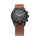 TITAN Analog Wrist Watch – Model 1805NL01