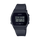 CASIO Wrist Watch – Model D215