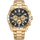 CITIZEN Wrist Watch – Model AN8233-51E
