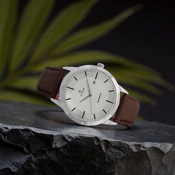 TITAN Analog Wrist Watch – Model 1584SL03