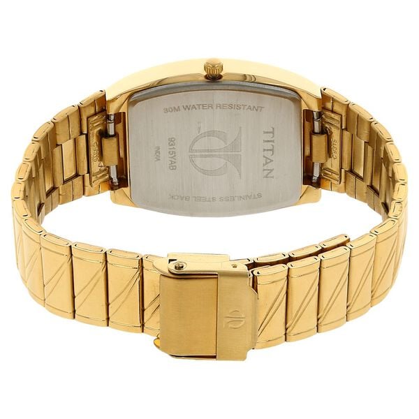 TITAN Analog Wrist Watch – Model 9315YM02