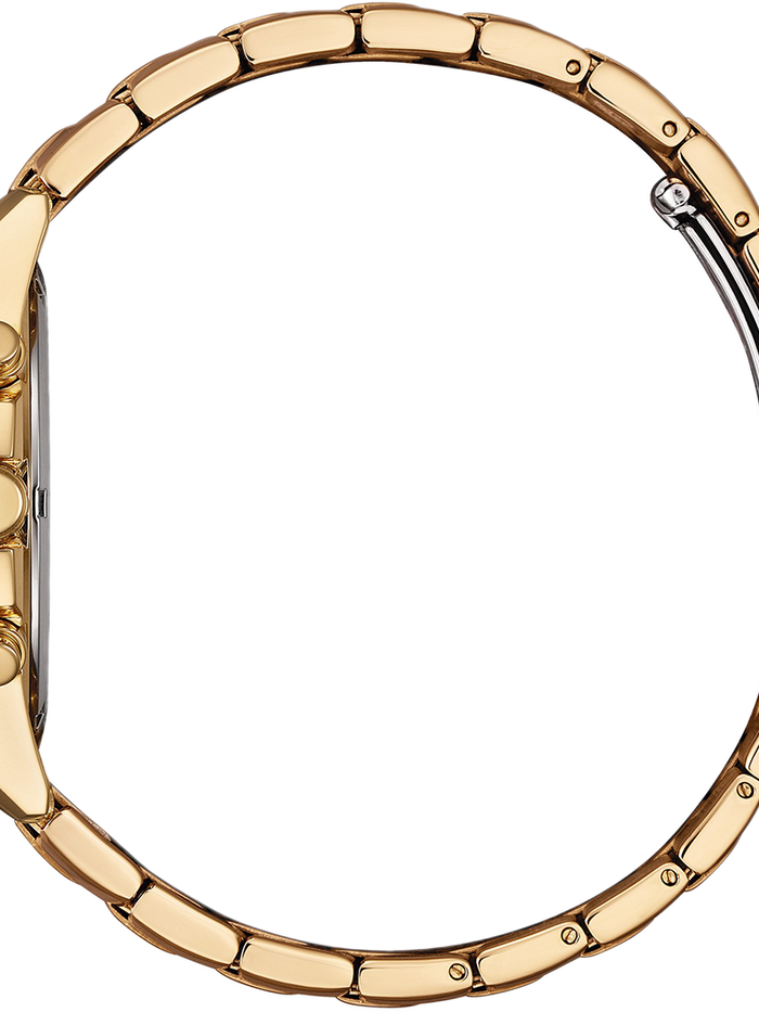 CITIZEN Wrist Watch – Model AN8233-51E