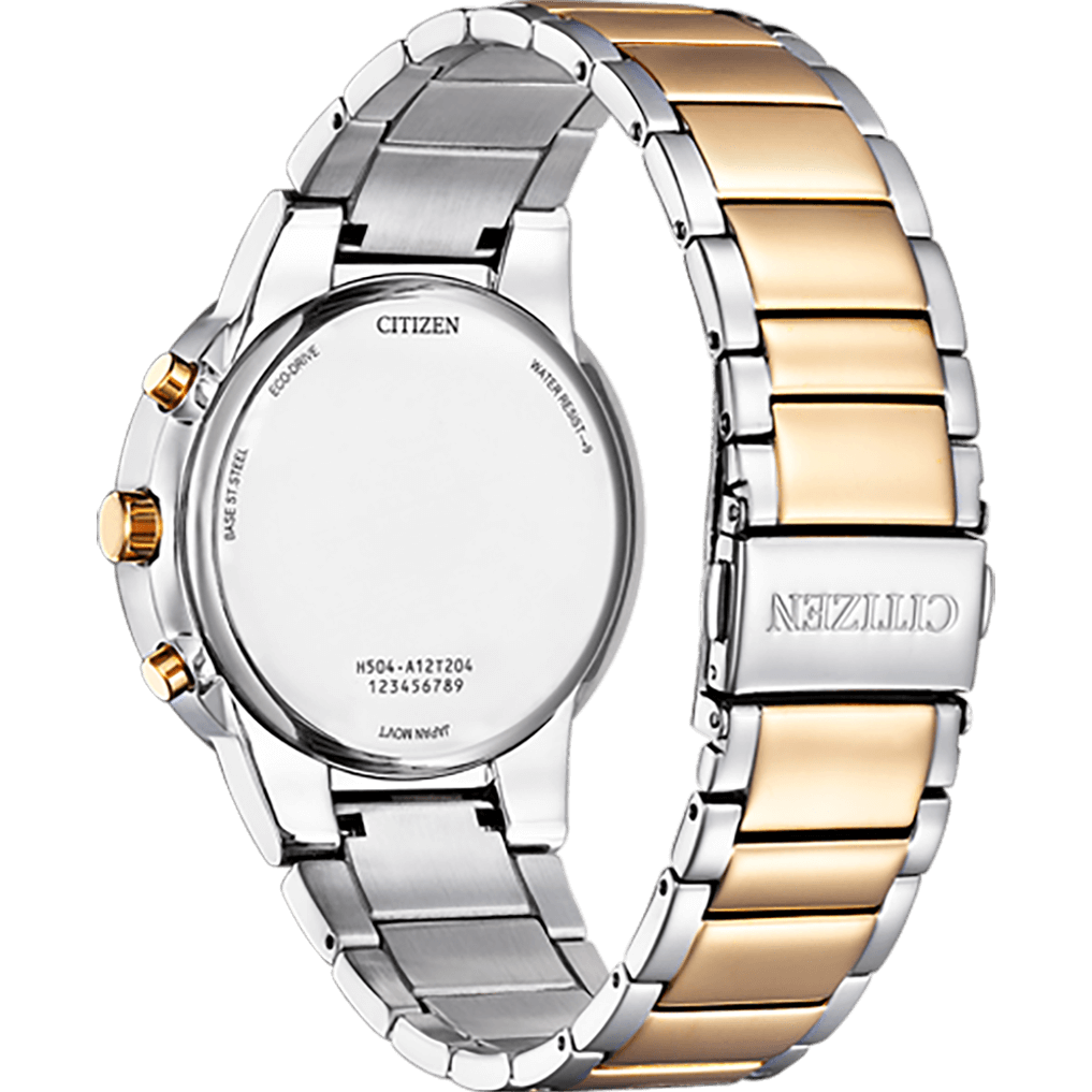 CITIZEN Wrist Watch – Model AT2244-84A