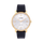 CASIO Wrist Watch – Model A2161