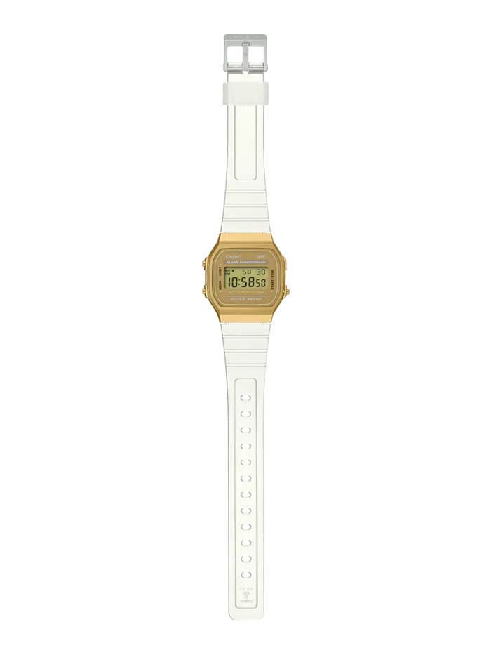CASIO Wrist Watch – Model D307