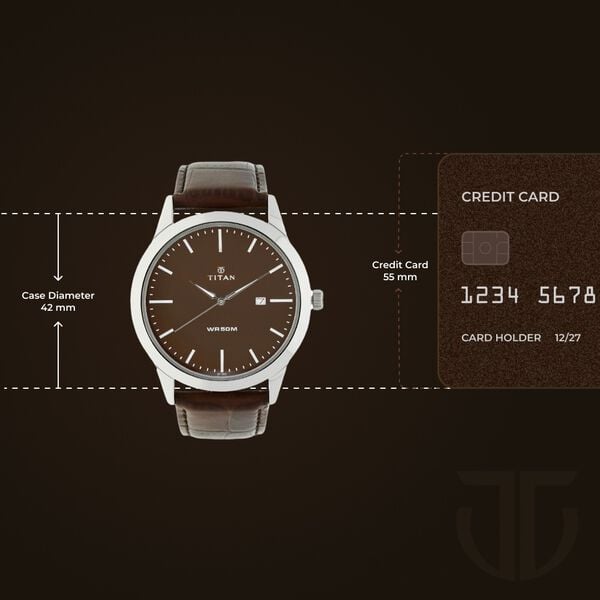 TITAN Analog Wrist Watch – Model 1584SL04