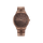 TITAN Analog Wrist Watch – Model 90142QM05