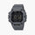 CASIO Wrist Watch – Model D387