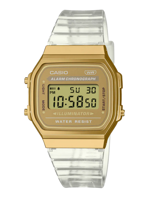 CASIO Wrist Watch – Model D307