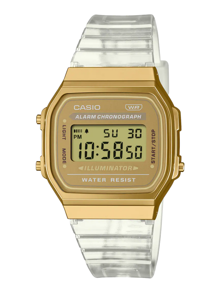 CASIO Wrist Watch – Model D307